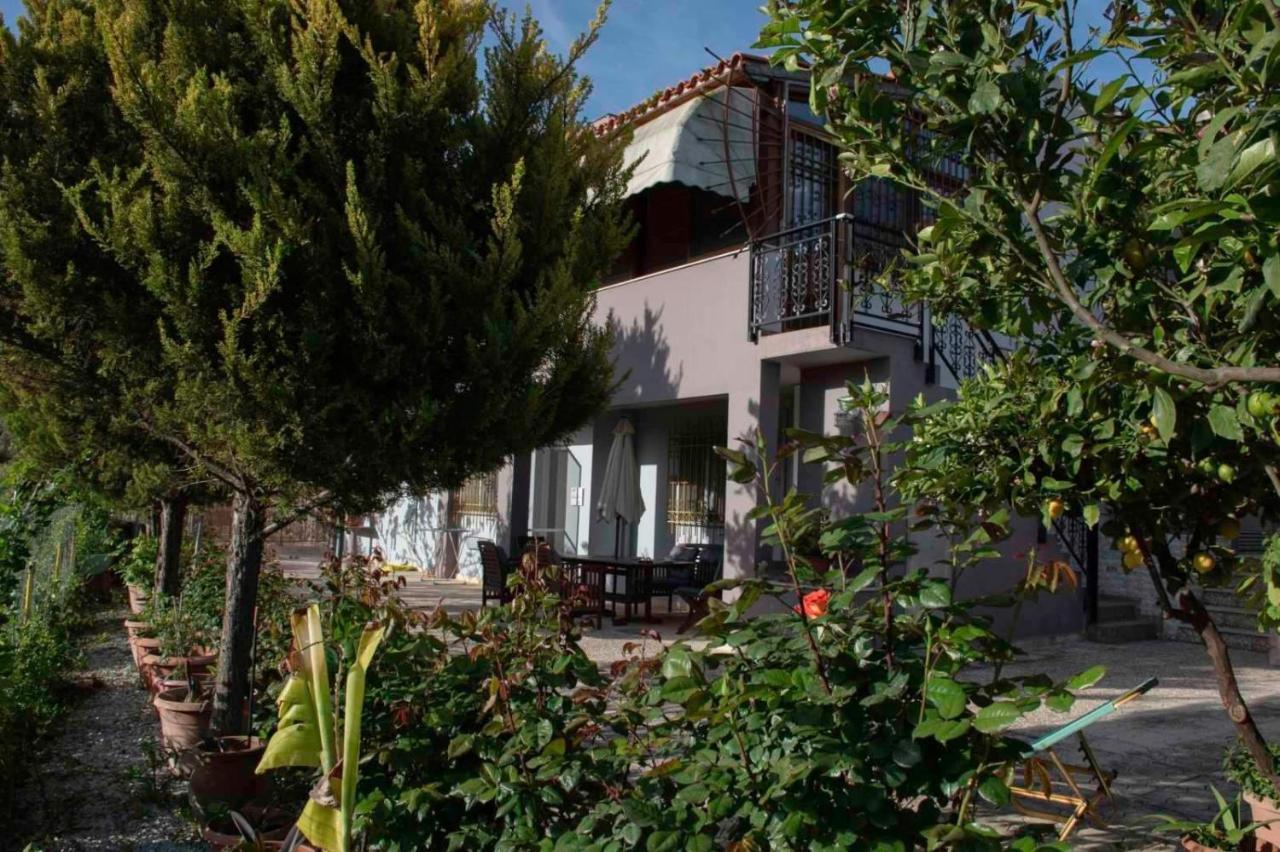 Aelia Home Exteriör bild